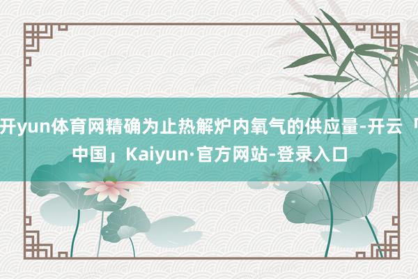 开yun体育网精确为止热解炉内氧气的供应量-开云「中国」Kaiyun·官方网站-登录入口
