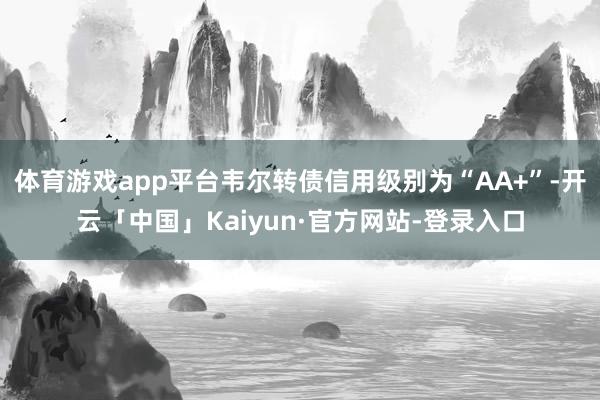 体育游戏app平台韦尔转债信用级别为“AA+”-开云「中国」Kaiyun·官方网站-登录入口